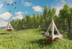 Vacation in the Trees