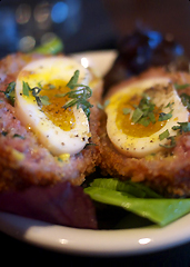 UD - Scotch Egg