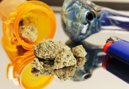 How to Pack the Perfect Bowl