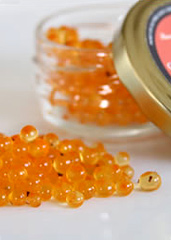 UD - Bacon & Eggs Caviar