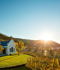 This South African Hotel Is on a Wine Farm. So That’s Nice.