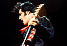 Long Live the King