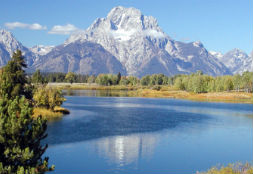 A Yellowstone Safari With Grizzlies and Wolves