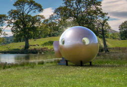 A Custom Living Pod for Self-Isolating in Style