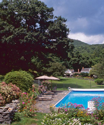 The Nine Best Garden Situations We've Seen on Airbnb