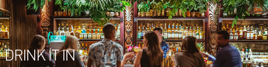 UD - Food & Drink UD - Food & Drink