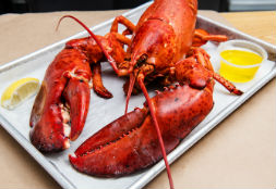 How to Properly Crack and Eat a Lobster