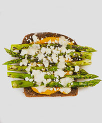 A Super Upsetting Cookbook About Sandwiches