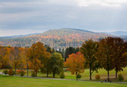 So, WTF Is Forest Bathing?