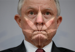 12 of Our Favorite Weed Things, Just To Spite Jeff Sessions