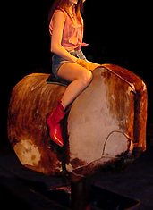 UD - Mechanical Bull Rentals