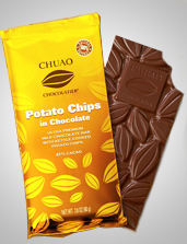 UD - Potato Chips in Chocolate Bar