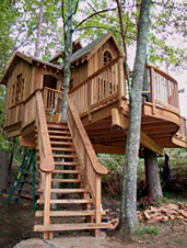 UD - Treehouse Building Workshop