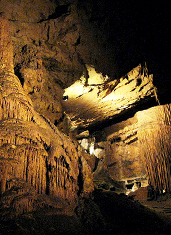 UD - Cave Expeditions at Organ Cave