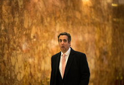 Pictures of Michael Cohen Looking Hapless