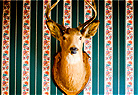 Saloon Animals