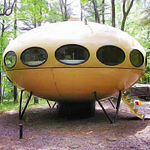 A Spaceship in the Middle of the Woods