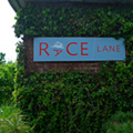 Race Lane
