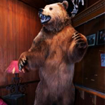 His Giant Kodiak Bear