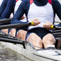 How to Row Like a Winklevoss