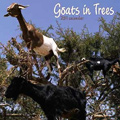 Goats in Trees Calendar