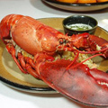 STK's Lobsterfest