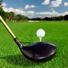 His: Private Golf Lessons at Quail Lodge Resort