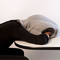 Ostrich Portable Napping Environment