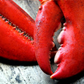 Piles of Lobster in Half Moon Bay