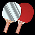 Ping-Pong Mirror Paddle