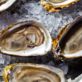 Like a Debutante Ball for Oysters