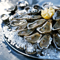 $1 Oysters All Day at Hog & Rocks