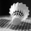 20 Courts of 24-Hour Badminton