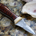 The Strongest Oyster Knife on Earth