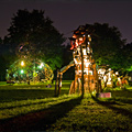 Figment Festival Takes Governors Island