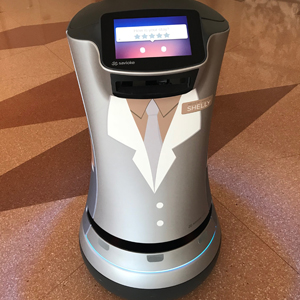Just Your Average Hotel Robot