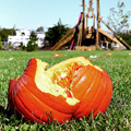 The Return of Pumpkin Destruction Day