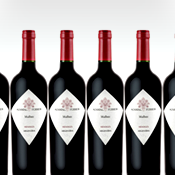 Six Bottles of Argentina’s Finest Malbec: Yours