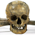 The Skull From Skull and Bones at Auction