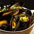 Mussels Throwdown at Belga Café