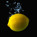 The Lemon Lager at Masa 14