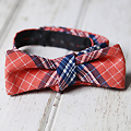 Reversible Bow Ties from The Common