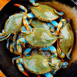 You, Blue Crabs and a Lovely Afternoon