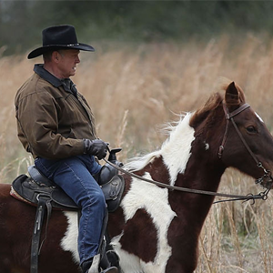 The Internet Is in a Tizzy Over Roy Moore's Horse