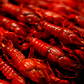 All-You-Can-Eat Yats' Crawfish Boil