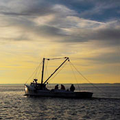 Virginia Oyster Trail