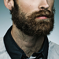 An Epic Somerville-ian Beard-Off