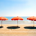 If Beaches Could Talk