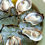 The Oyster Situation at Ferry Plaza