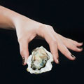 Your Oyster Stimulus Plan